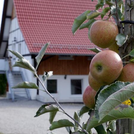 Ferienhof Waggershauser FDH Εξωτερικό φωτογραφία