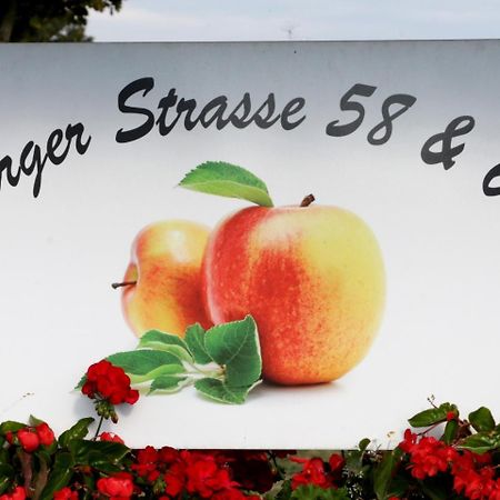 Ferienhof Waggershauser FDH Εξωτερικό φωτογραφία